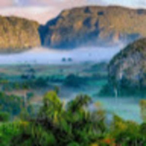 Meet your Posher, Tomia